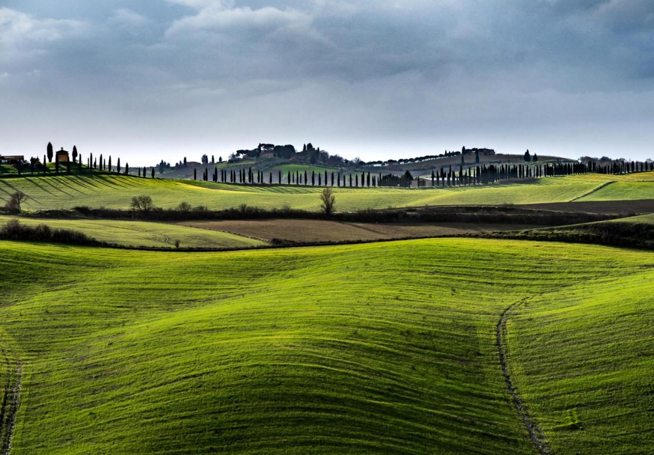 Podere Fossaccio Casa Pino Ашяно Екстер'єр фото