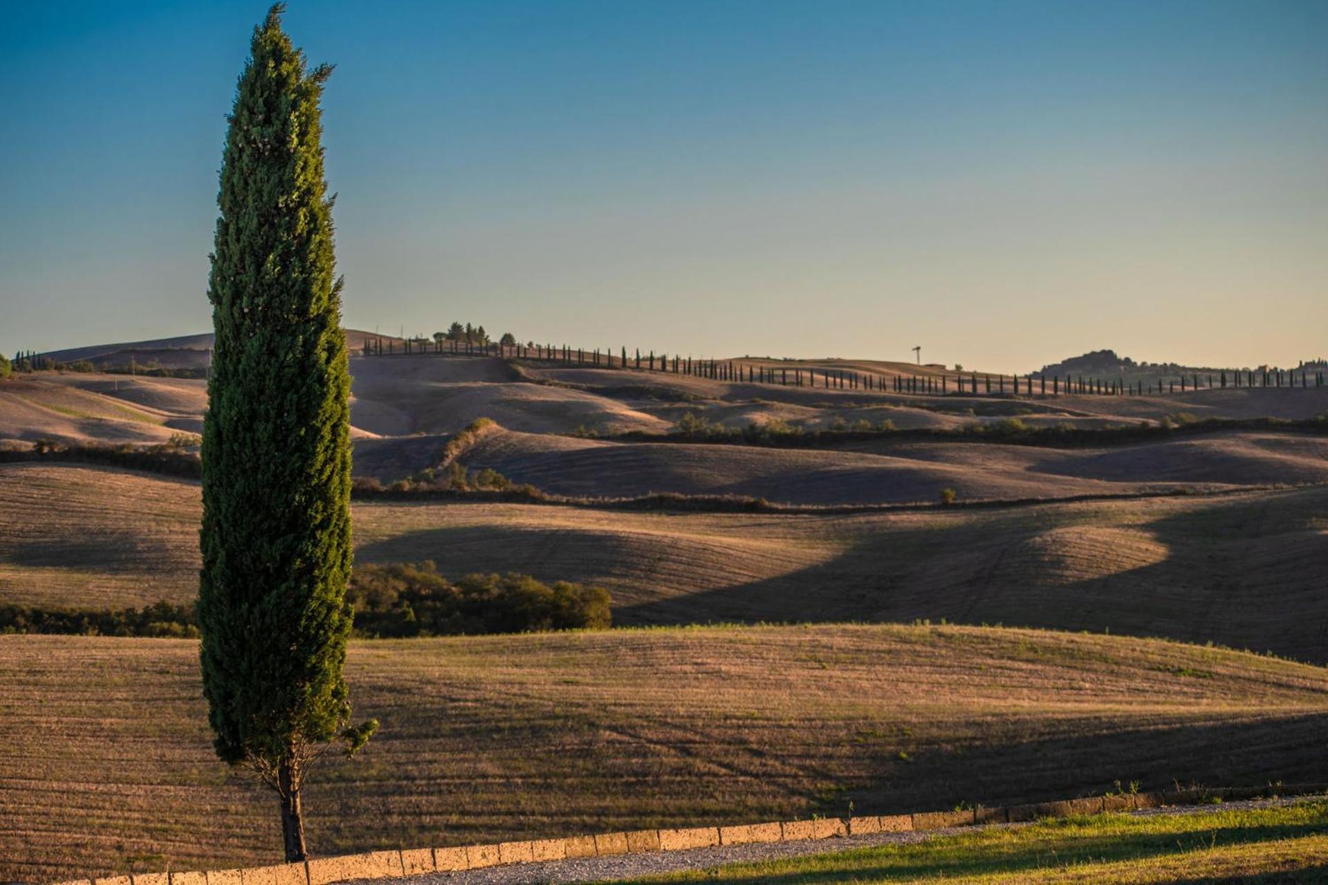 Podere Fossaccio Casa Pino Ашяно Екстер'єр фото