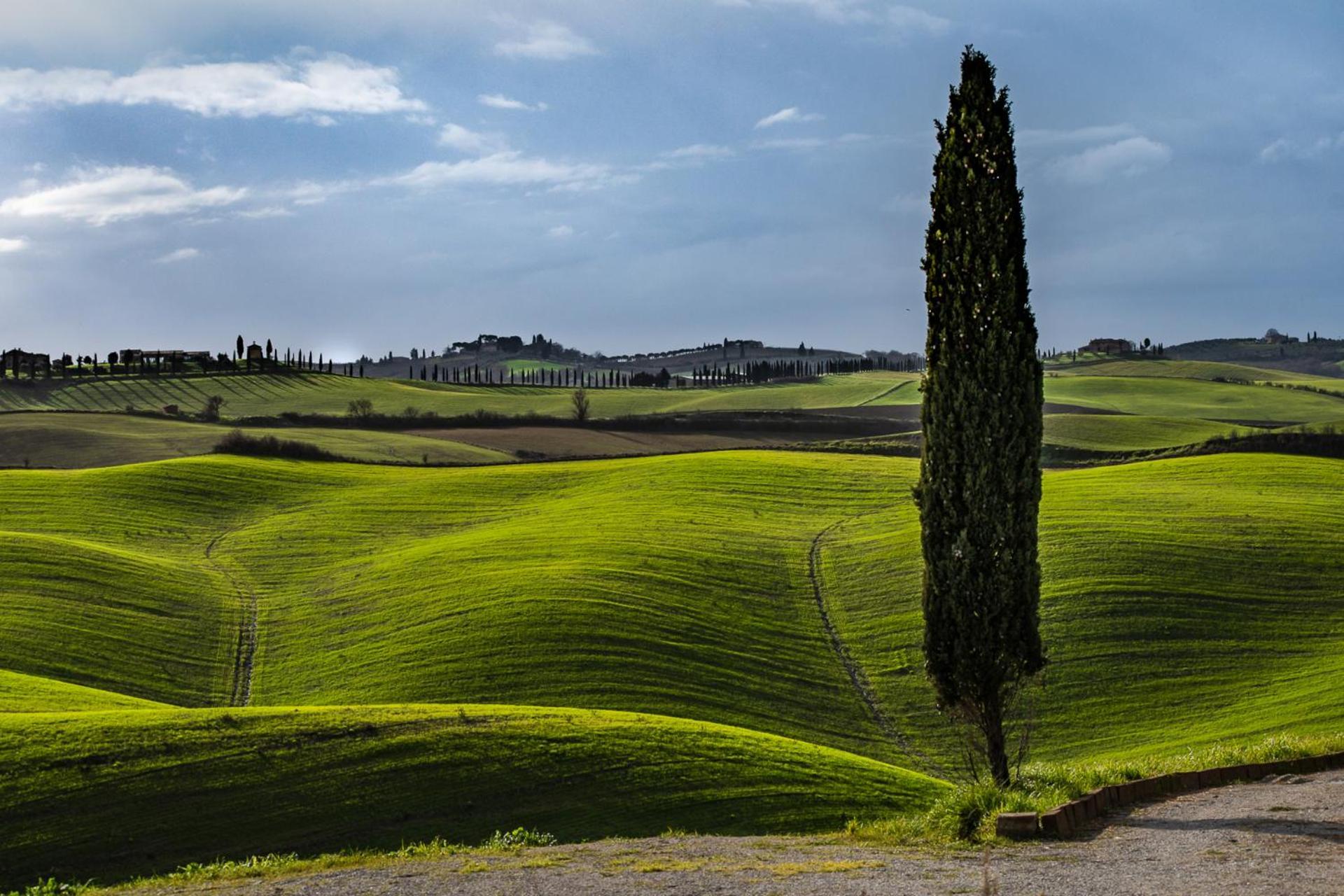 Podere Fossaccio Casa Pino Ашяно Екстер'єр фото